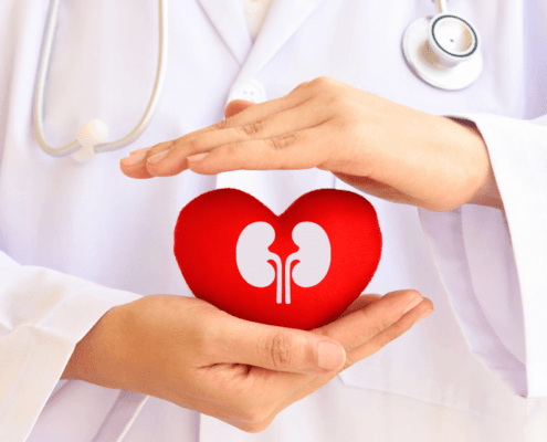 Saúde renal coração e rins confira a importância destes órgãos