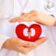 Saúde renal coração e rins confira a importância destes órgãos