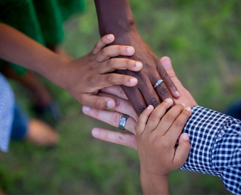 Historia Allmed Pronefro Brasil