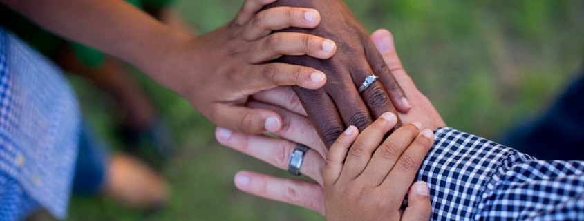 Historia Allmed Pronefro Brasil