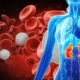 Endotoxemia e o paciente renal