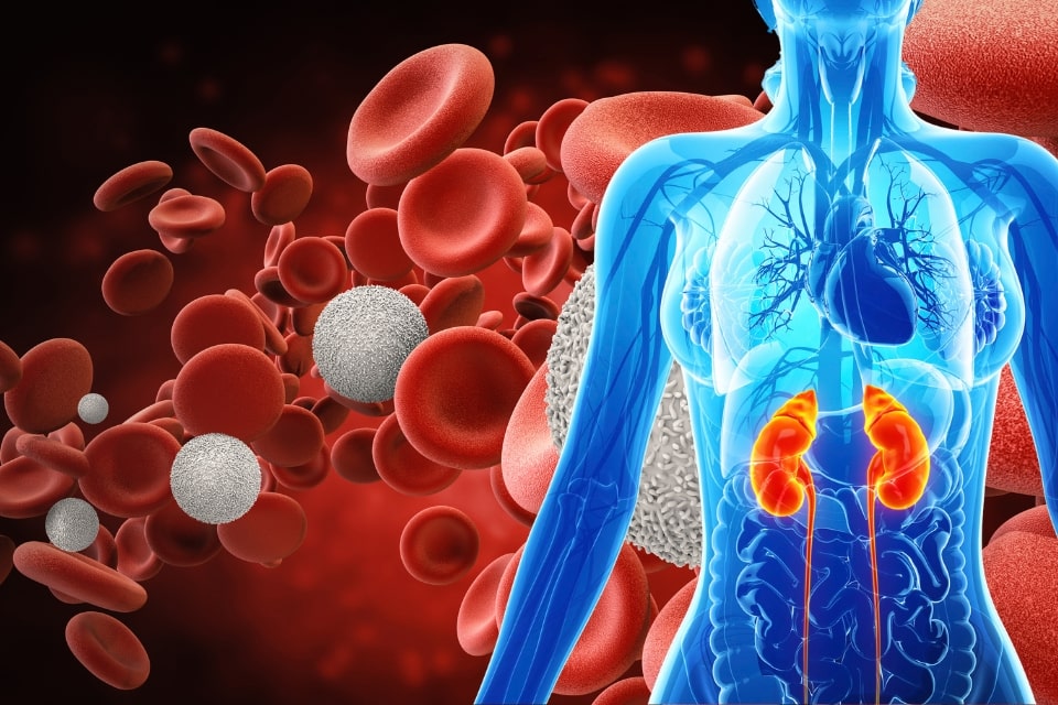 Endotoxemia e o paciente renal