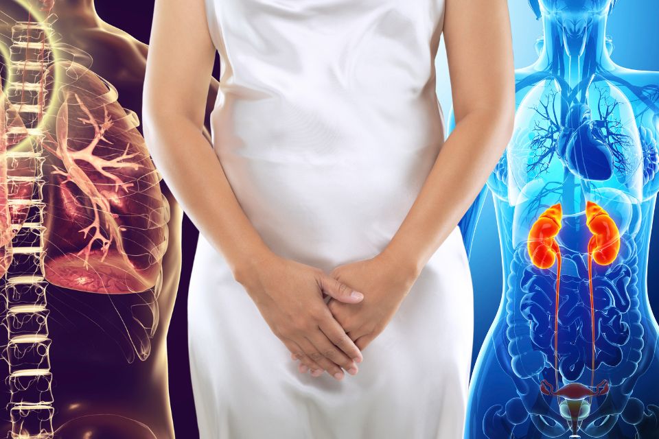 Tuberculose urinária pode causar a doença renal crônica