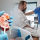 Obesidade e doença renal crônica como o excesso de peso afeta a saúde dos rins